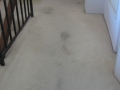 Hallway Carpet Before
